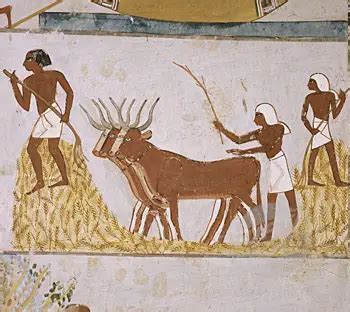  Egyptian Agriculture: A Symphony of Sustenance -  Journey Through Time and Cultivation Techniques